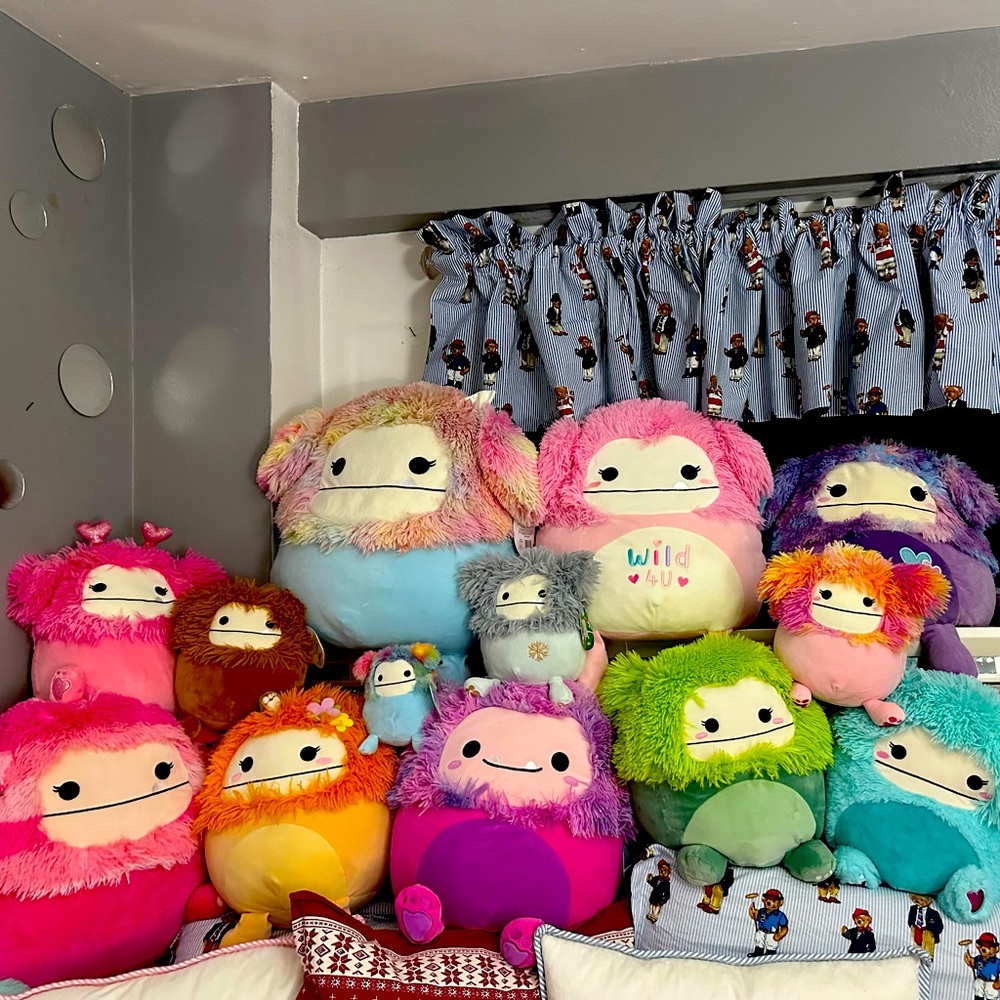 13 different Squishmellow from  Bigfoot family they are all brand new with tags